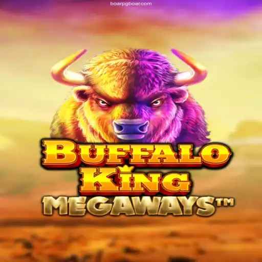 Discover the Thrilling Adventure of 
